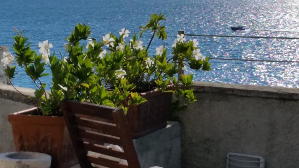 Bed and Breakfast Le Sirene Tellaro Zewnętrze zdjęcie